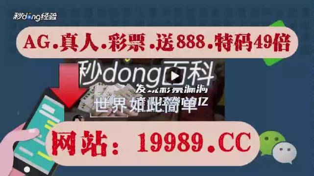 2024年澳门天天开彩正版资料-精选解释解析落实