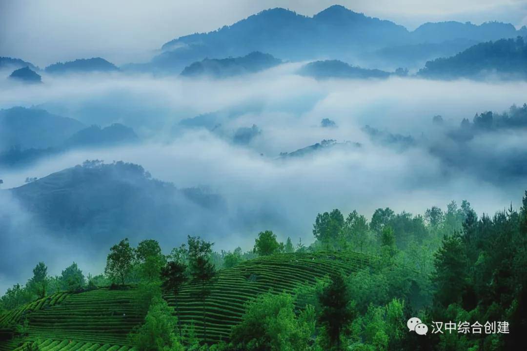 广东省环境保护局，守护绿水青山的坚实力量