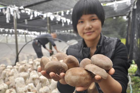 广东省保安服务，守护安全与秩序的坚实力量