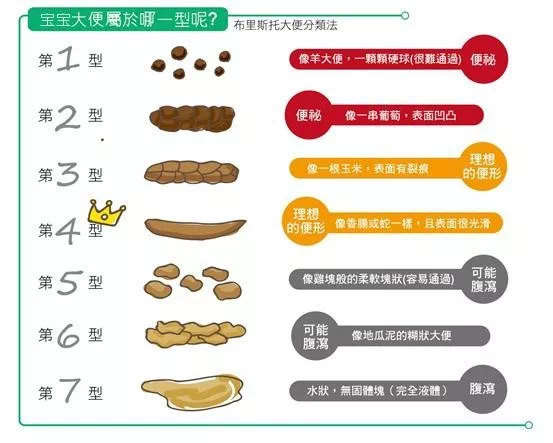 关于六个月宝宝大便形状的探索