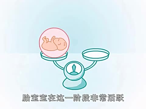 五个月胎宝宝胎动视频，生命的奇妙之旅