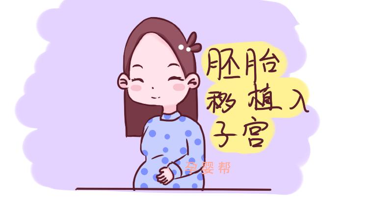 两个月胎儿真实图片，揭秘早期胚胎发育的奥秘