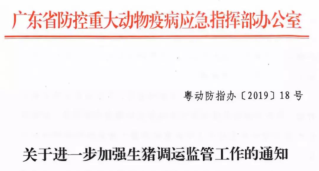 广东省生猪运输申报制度深度解读