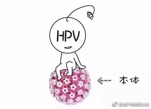 HPV感染与复查的重要性，为何三个月后复查是关键？